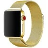 Banginė plieno pintinė apyrankė, Apple Watch 42 mm / 44 mm / 45 mm, auksas