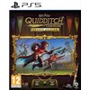 Kompiuterinis žaidimas Harry Potter: Quidditch Champions Deluxe Edition