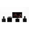 Stiprintuvas WiiM Amp Sidabrinis - Stereo Streaming Amplifier