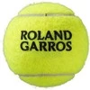 WILSON ROLAND GARROS (4x2) teniso kamuoliukai