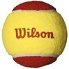 WILSON WILSON STARTER Raudonas (12) teniso kamuoliukai