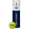 WILSON TRINITI PRO (4) teniso kamuoliukai