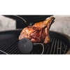 Witt CookPerfect Comfort Single paistolämpömittari