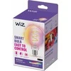 WiZ,Globe,6,3W,2200-6500 (RGB),G95,E27,1vnt šviesos šaltinis