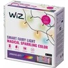 Lemputė WiZ Smart WiFi LED Fairly Light, 20m|15 W