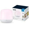 Stalinė lempa WiZ Smart WiFi WiFi Hero, 9 W | 2200–6500 tūkst.