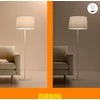 Jungiklis Wiz Smart button IP20 Wi-Fi