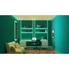 LED juostelė WiZ Smart WiFi RGB, 10m|10 W|RGB