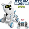 XTREM BOTS XTREAM BOTS Interaktyvus robotas „Bobby“