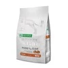 Nature's Protection Superior Care Raudona Coat paukštiena Adult All breeds 1.5kg, visų veislių raudonkailių šunų sausas begrūdis pašaras su paukštiena