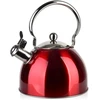 Ambition Allesken LIAM Raudonas Virdulys 2,5L