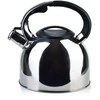 Allesken STEN Sidabrinis Virdulys 2,5L