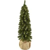 Mondex FIT Kalėdų eglutė 80 cm