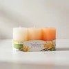 Verk Mondex FLORIS VANILLA SWEETS kvapioji žvakė 3 vnt. cilindras 6x9cm parafinas