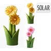 Mondex GĖLĖ SU SAULĖS ŠALTINIU 70 CM 2 RŪŠIŲ CL