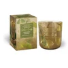 Mondex Kvapioji žvakė stiklinėje GOLDEN GINKO 150g ŽALUMYNŲ ATSPALVIŲ