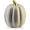 Mondex MAVE Figura dynia 13x13x16,5cm AW25