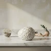 Mondex MAVE Figūrėlė kankorėžis 13,6x9,2x8,8 cm AW25