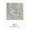 Mondex Obraz 45x60x1,8cm PLAN MIASTA PARIS Išpardavimas