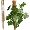 ProGarden Kokosinė augalų atrama 50 cm
