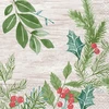 Mondex Serwetki 3-PLY 33X33CM WINTER GREENE 20szt