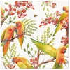 Mondex Serwetki 33x33 Exotic birds 20szt