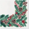 Mondex Serwetki DINNER AIRLAID 40X40cm 12szt fizelina Winter Branches