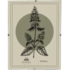 Nuotraukų rėmelis Affek Design ADI rėmelis 15x20 cm stiklinis rėmelis su spaustuku
