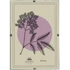 Nuotraukų rėmelis Mondex Since 1986 Memoboards ADI rėmas 50x70cm Antyrama