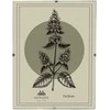 Nuotraukų rėmelis Affek Design Mondex Since 1986 ADI rėmas 15x20 cm apsauga nuo rėmo stiklo