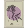 Nuotraukų rėmelis Mondex Since 1986 ADI Ramka 21x29,7 cm Antyrama