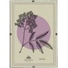 Nuotraukų rėmelis Memoboards Mondex Since 1986 ADI rėmas 50x70 cm Antyrama