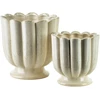 Mondex Since 1986 EVAM BEIGE taurė-vaza 15,5x15,15x15,5 cm