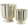 Mondex Since 1986 EVAM BEIGE taurė-vaza 15,5x15,15x15,5 cm