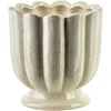 Mondex Since 1986 EVAM BEIGE taurė-vaza 15,5x15,15x15,5 cm