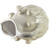 Mondex Since 1986 EVAM Vaza 19x19x20.5cm tulpės
