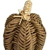 Mondex Since 1986 GUSTAV Figura dynia 27/33x23 cm AW25