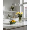 Mondex Since 1986 LETTU Dekoratyvinis dubuo 30x30x13cm Salotų lapai