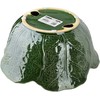 Mondex Since 1986 LETTU Dekoratyvinis dubuo 30x30x13cm Salotų lapai
