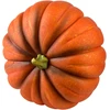 Mondex Since 1986 MAVE Figura dynia 35x35x24cm