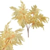 Mondex Since 1986 VIRIDIS 5 lapų puokštė 57 cm