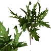 Mondex Since 1986 VIRIDIS 5 lapų puokštė 57 cm