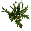 Mondex Since 1986 VIRIDIS 5 lapų puokštė 57 cm