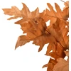 Mondex Since 1986 VIRIDIS 5 lapų puokštė 57 cm