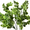 Mondex Since 1986 VIRIDIS Buksmedžio puokštė 37 cm