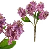 Mondex Since 1986 VIRIDIS Bukiet Bzu 40cm gumowany