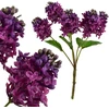 Mondex Since 1986 VIRIDIS Bukiet Bzu 40cm gumowany