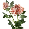 Mondex Since 1986 VIRIDIS chrizantema (x2) šakelė 69cm