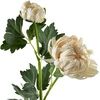 Mondex Since 1986 VIRIDIS chrizantema (x2) šakelė 69 cm