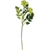 Mondex Since 1986 VIRIDIS chrizantema (x3) šakelė 70cm